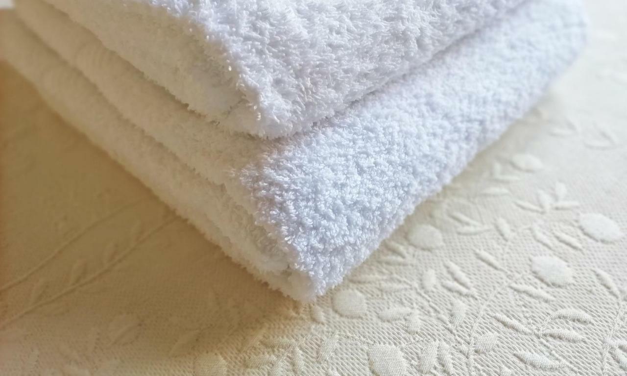 L'Alloggio Di Anna Maria Camera Con Bagno Privato Empoli Zewnętrze zdjęcie